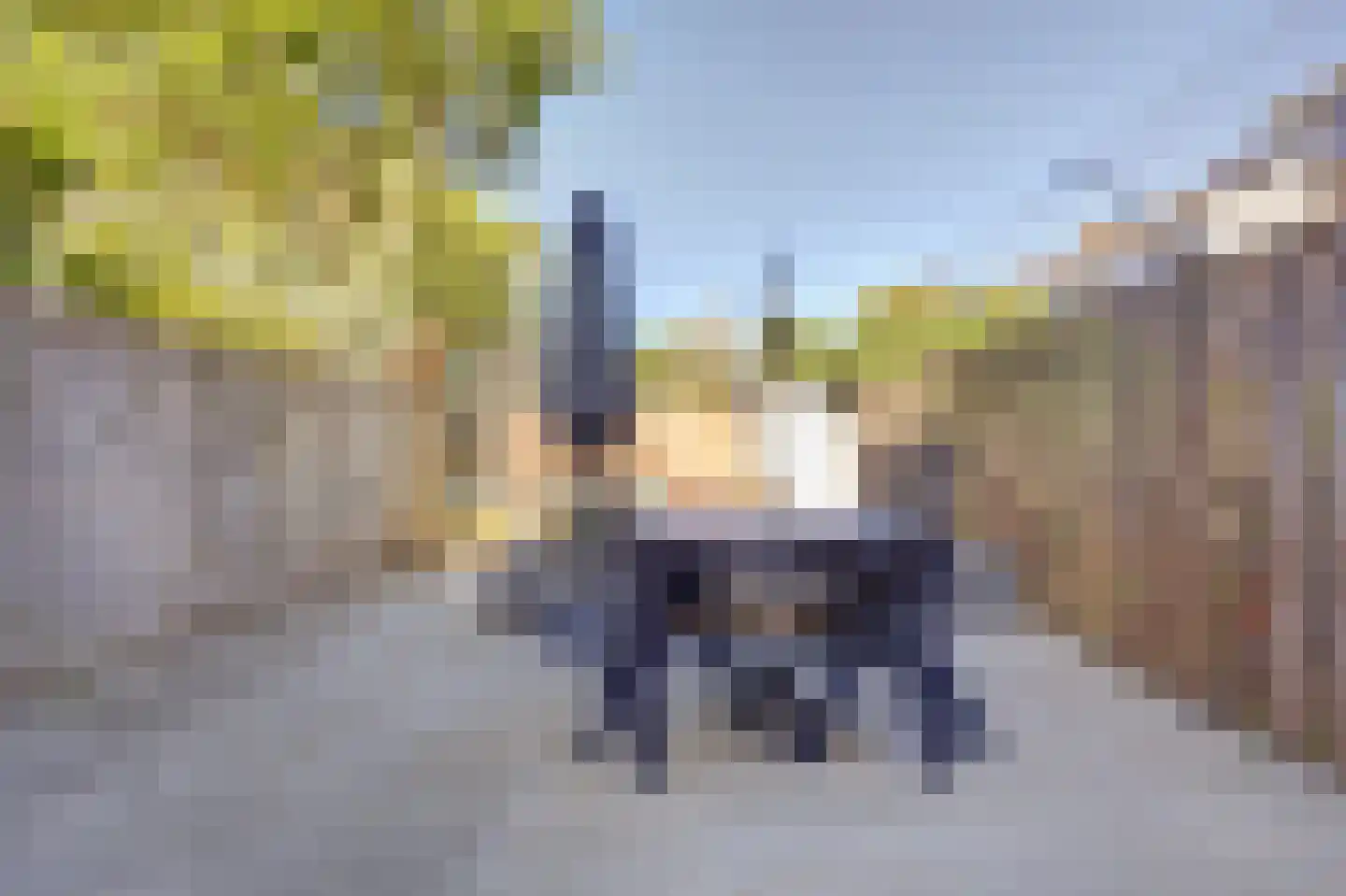 Lijster 19 Hoogvliet Rotterdam thumbnail 21
