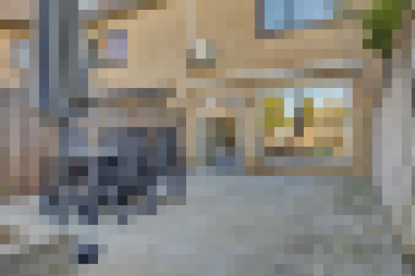 Lijster 19 Hoogvliet Rotterdam thumbnail 22