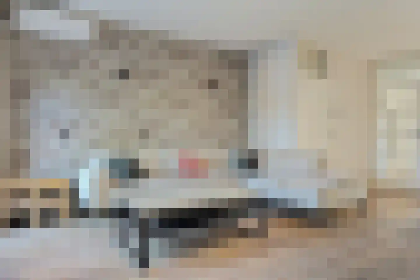 Lijster 19 Hoogvliet Rotterdam thumbnail 5