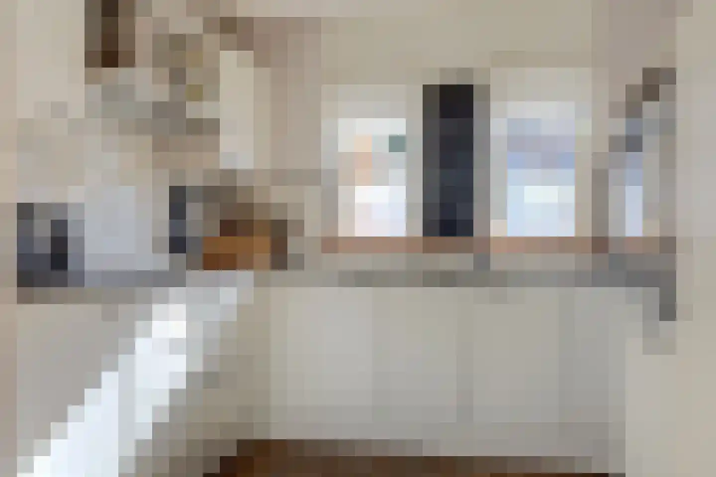 Lijster 19 Hoogvliet Rotterdam thumbnail 7