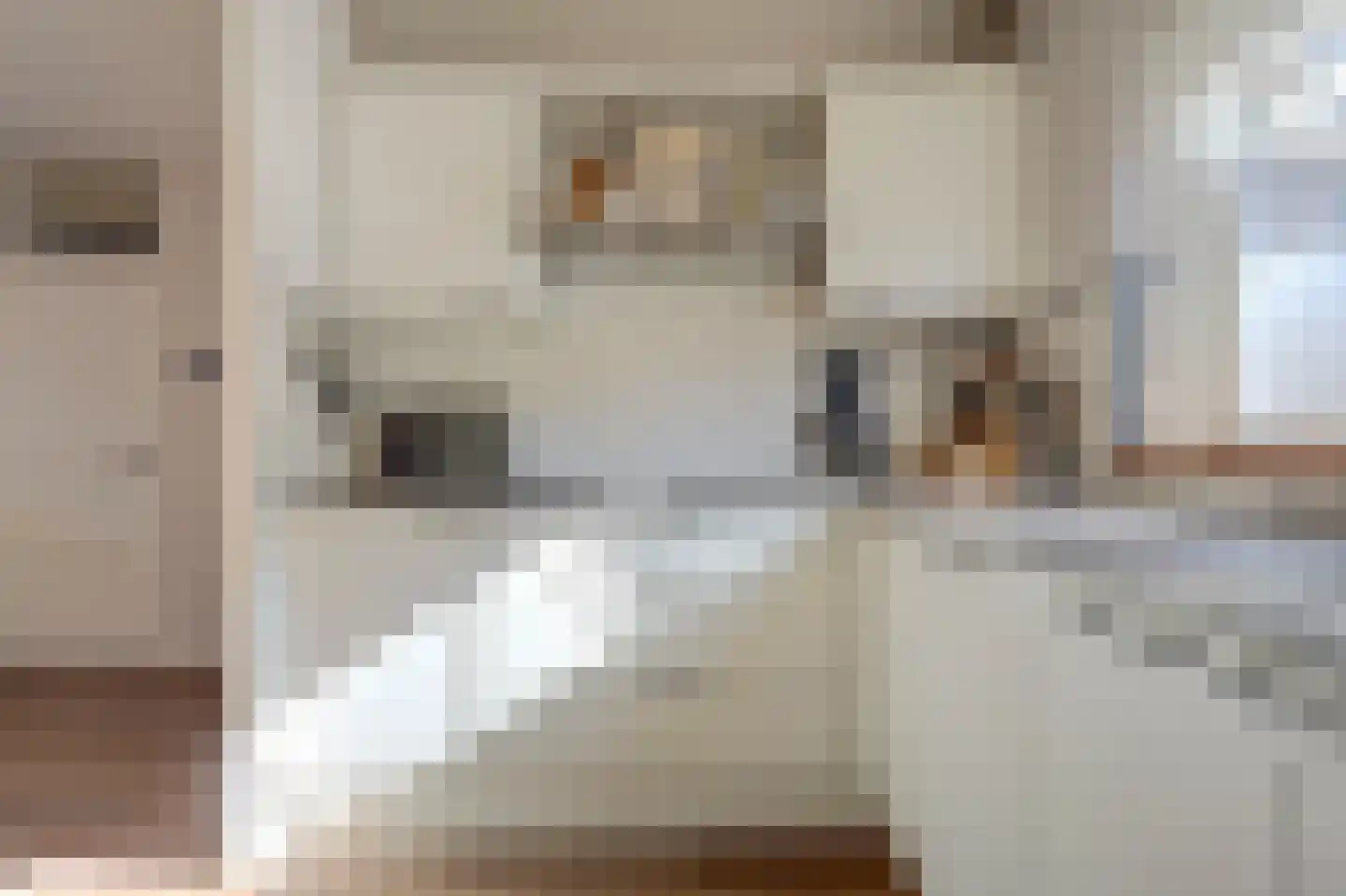 Lijster 19 Hoogvliet Rotterdam thumbnail 8