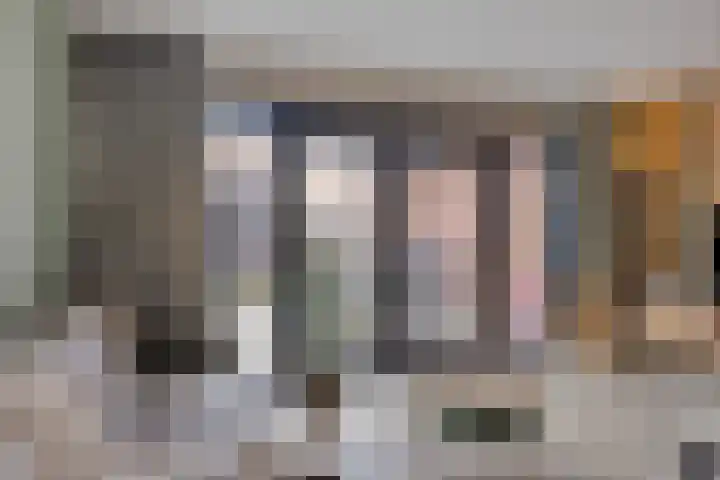 Lijster 19 Sommelsdijk thumbnail 10