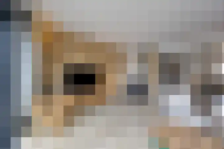 Lijster 19 Sommelsdijk thumbnail 12
