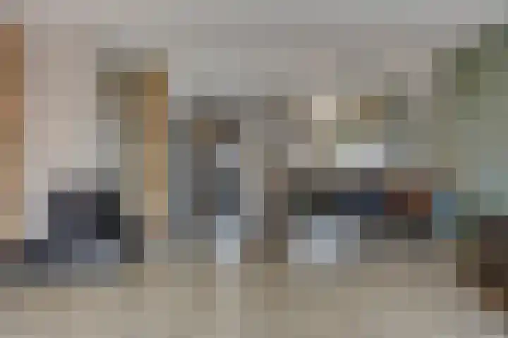 Lijster 19 Sommelsdijk thumbnail 13