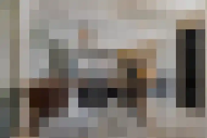 Lijster 19 Sommelsdijk thumbnail 14