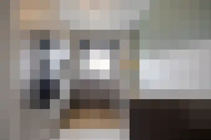Lijster 19 Sommelsdijk thumbnail 15
