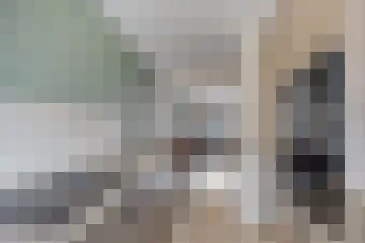 Lijster 19 Sommelsdijk thumbnail 16