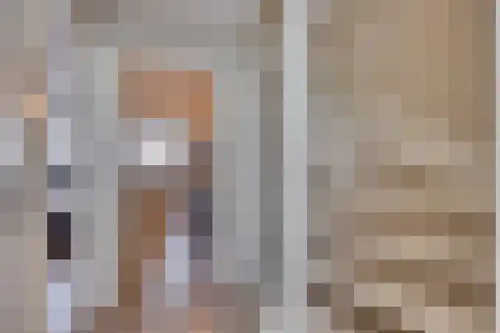 Lijster 19 Sommelsdijk thumbnail 17