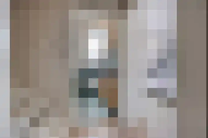 Lijster 19 Sommelsdijk thumbnail 18