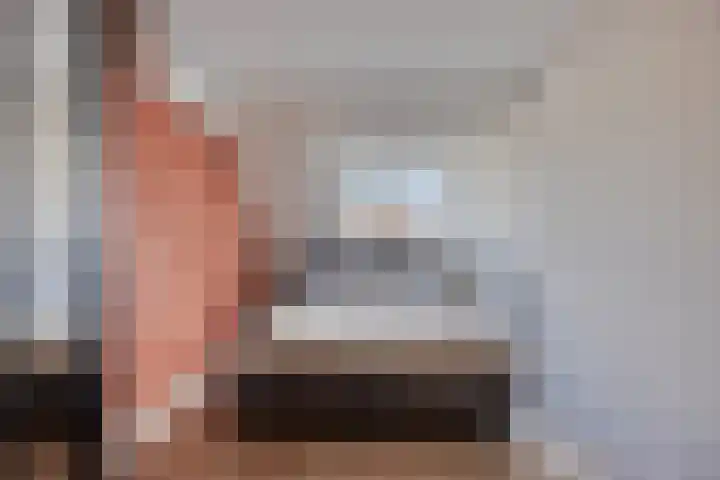 Lijster 19 Sommelsdijk thumbnail 20