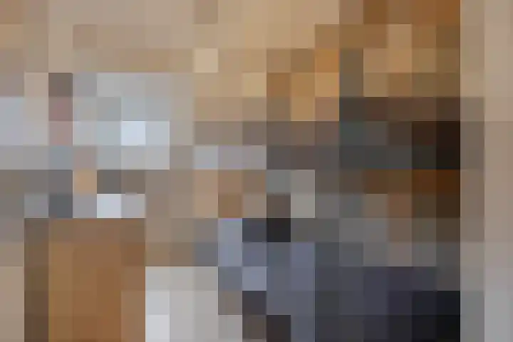 Lijster 19 Sommelsdijk thumbnail 23