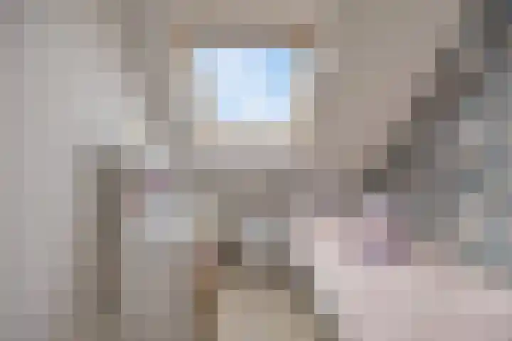 Lijster 19 Sommelsdijk thumbnail 25