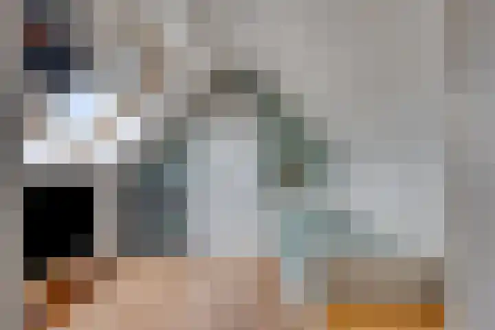 Lijster 19 Sommelsdijk thumbnail 27