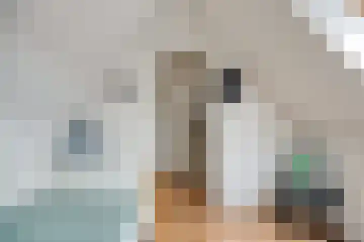 Lijster 19 Sommelsdijk thumbnail 28