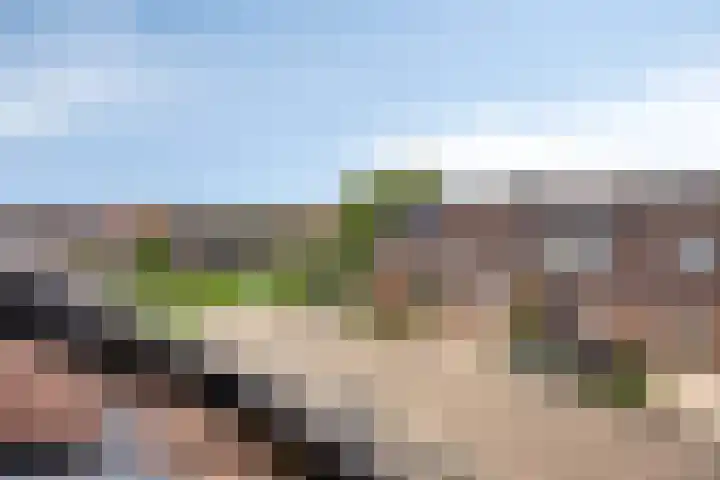 Lijster 19 Sommelsdijk thumbnail 29