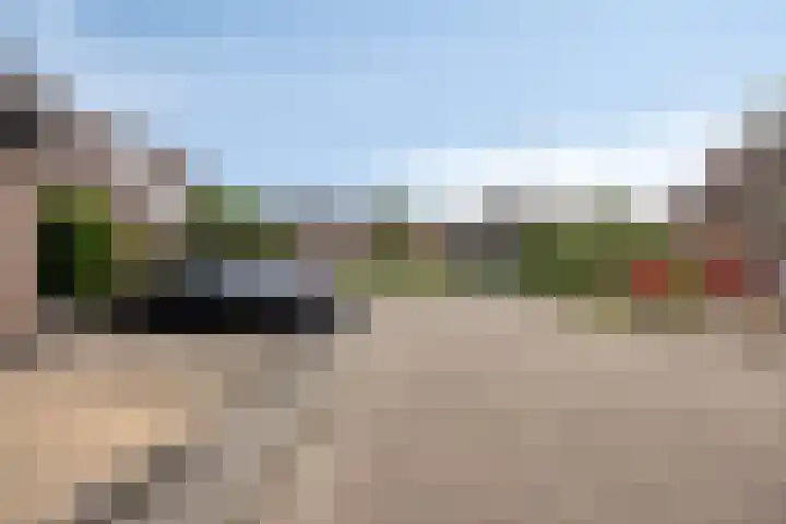 Lijster 19 Sommelsdijk thumbnail 31