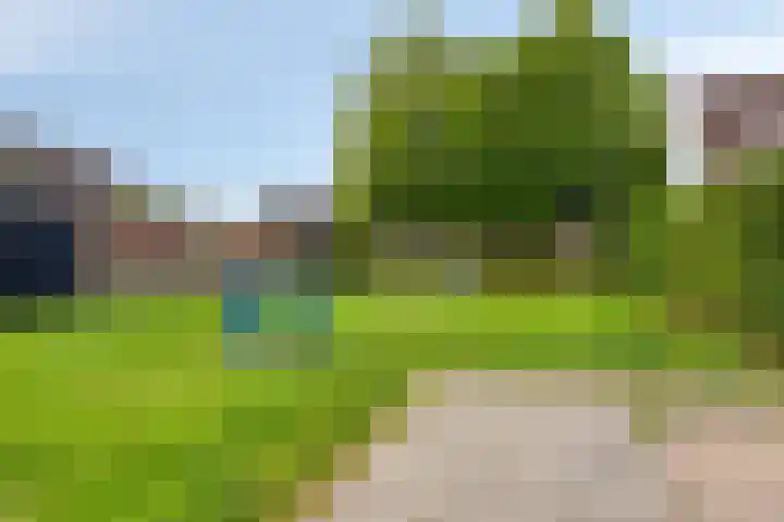 Lijster 19 Sommelsdijk thumbnail 32