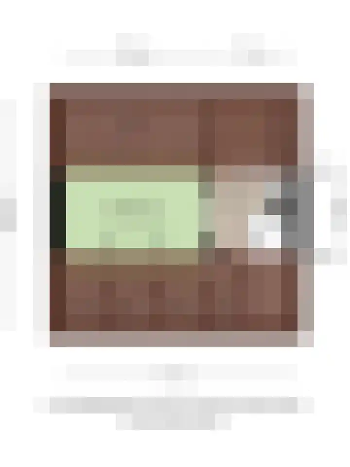 Lijster 19 Sommelsdijk thumbnail 35