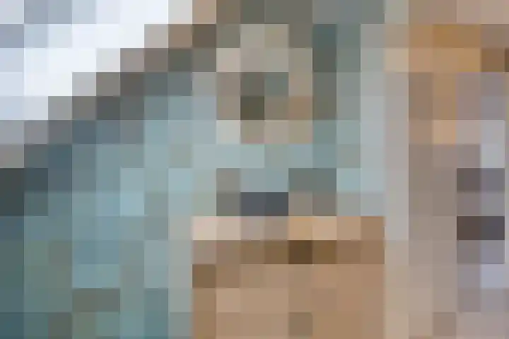 Lijster 19 Sommelsdijk thumbnail 4