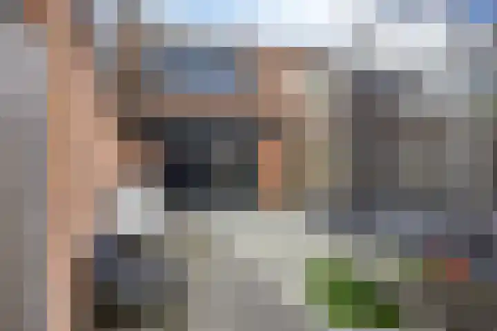 Lijster 19 Sommelsdijk thumbnail 5