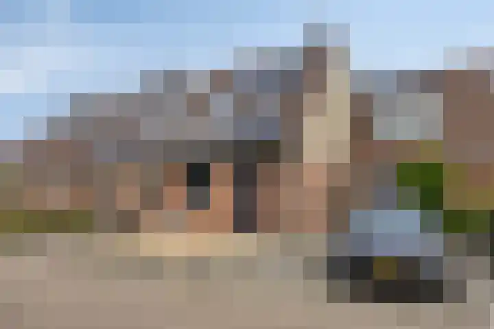 Lijster 19 Sommelsdijk thumbnail 6