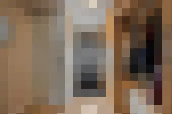 Lijster 19 Sommelsdijk thumbnail 7