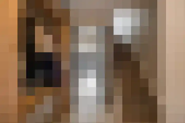 Lijster 19 Sommelsdijk thumbnail 8
