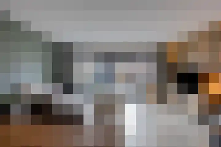 Lijster 19 Sommelsdijk thumbnail 9