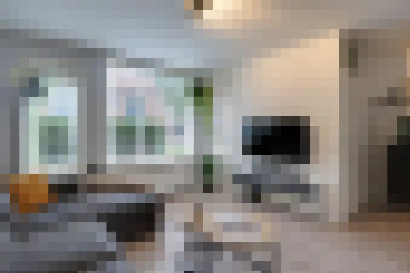 Lijster 2 Hoorn thumbnail 11