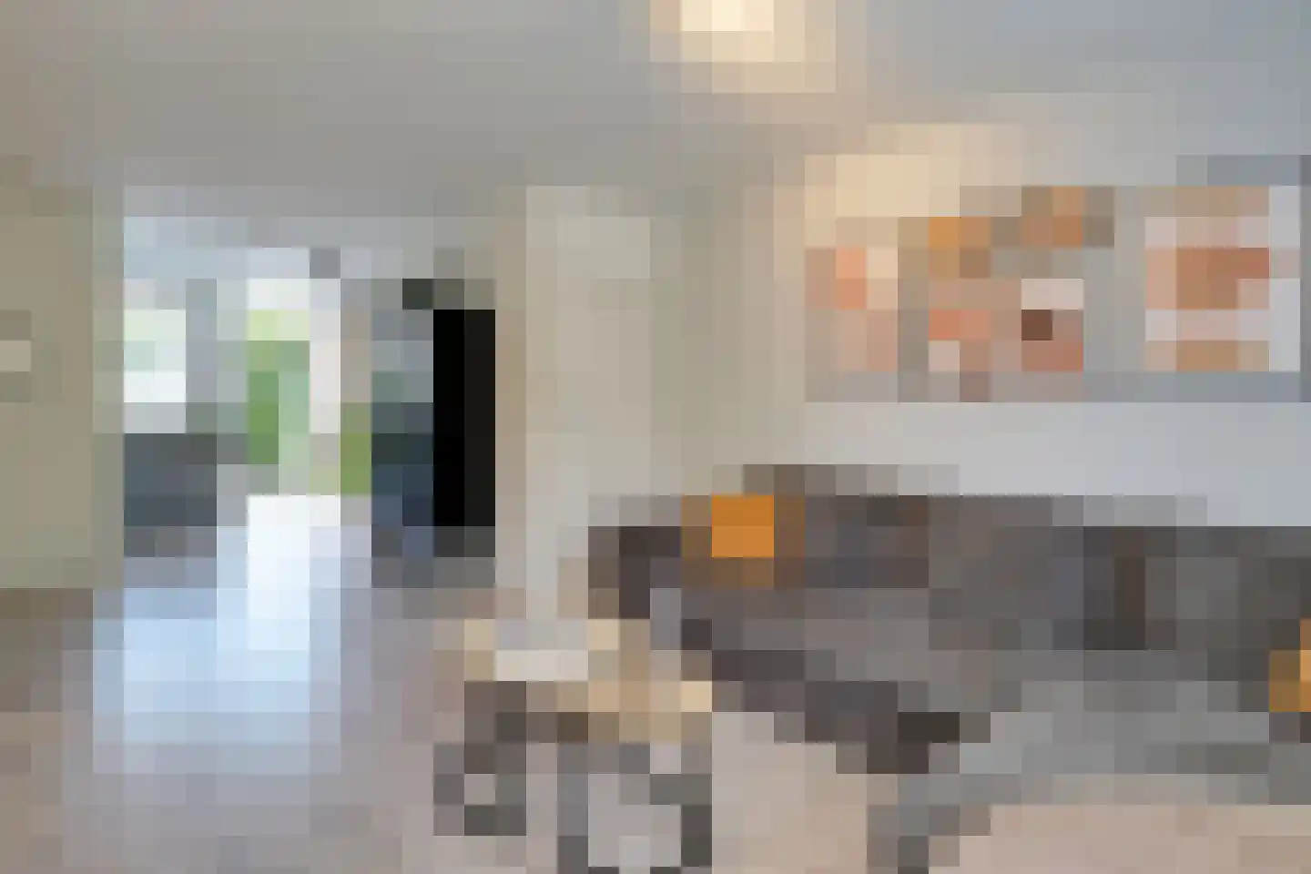 Lijster 2 Hoorn thumbnail 12