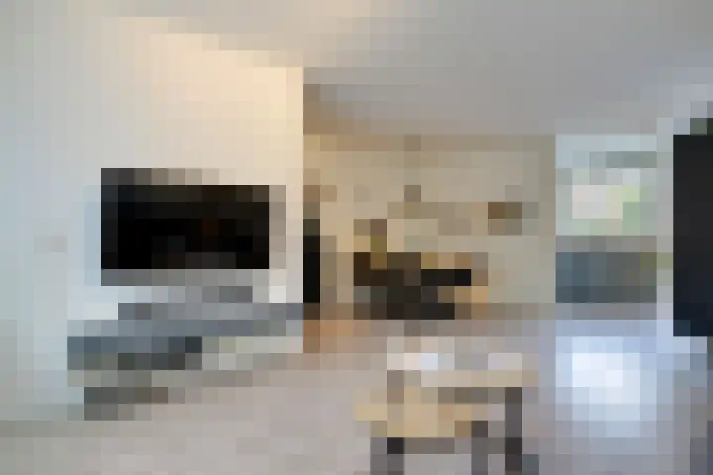 Lijster 2 Hoorn thumbnail 13