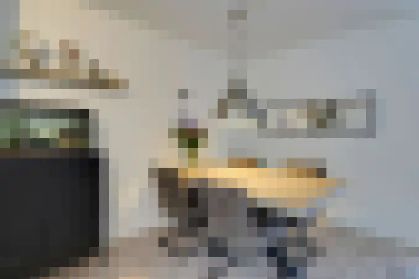 Lijster 2 Hoorn thumbnail 14