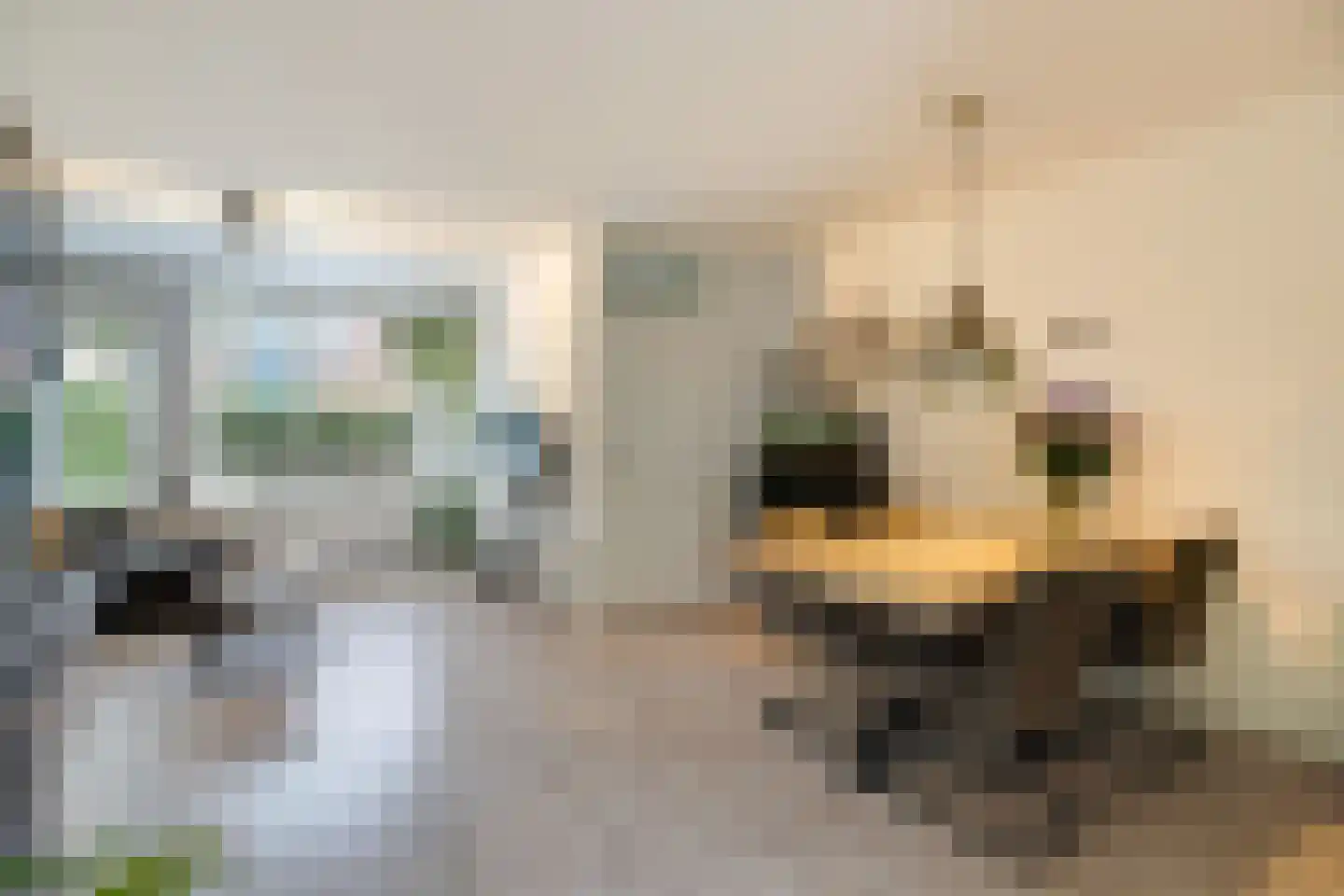 Lijster 2 Hoorn thumbnail 15