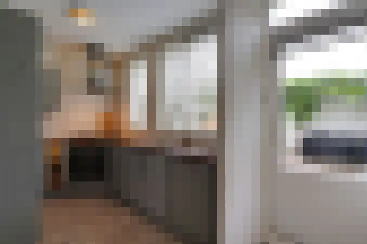 Lijster 2 Hoorn thumbnail 18