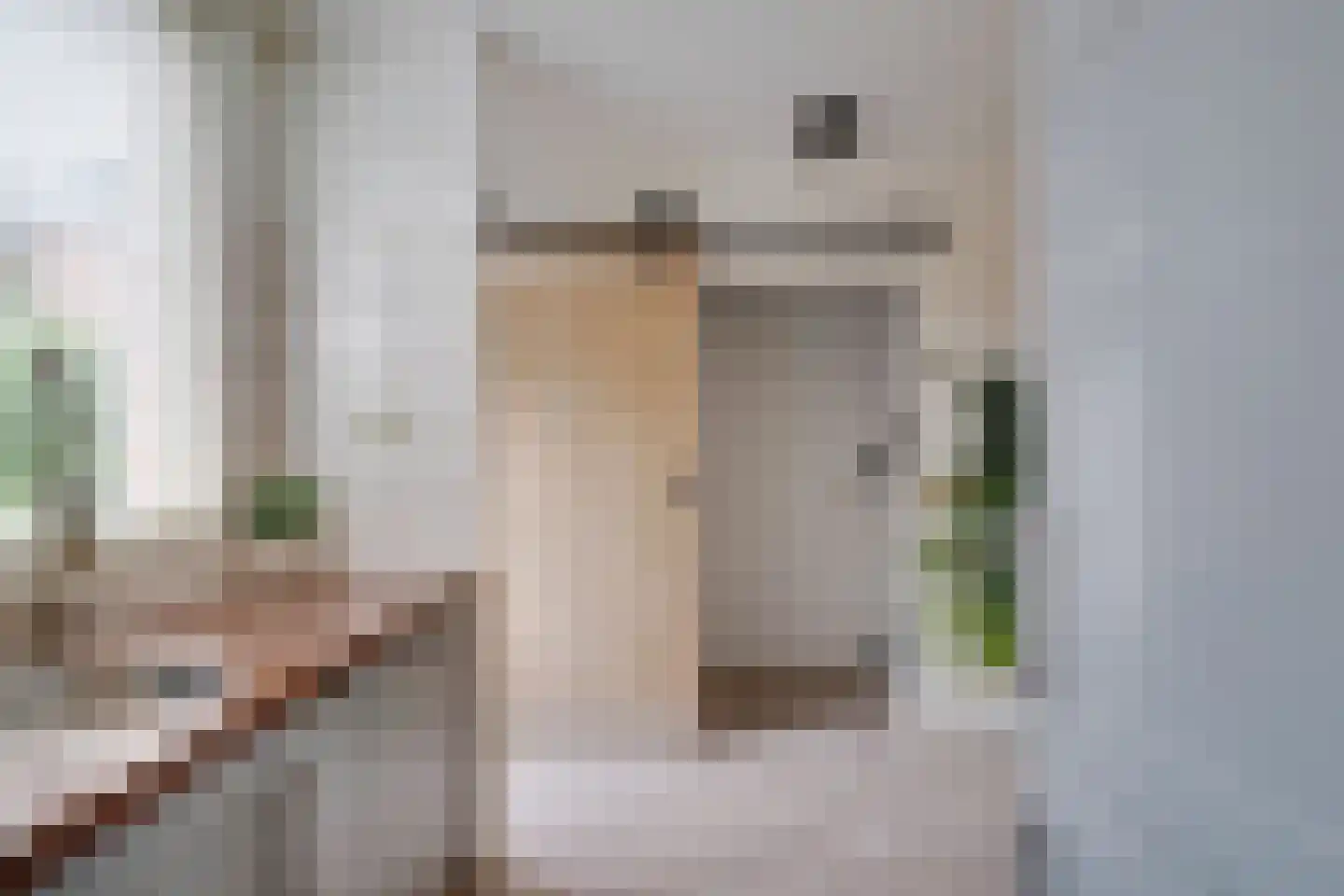 Lijster 2 Hoorn thumbnail 19