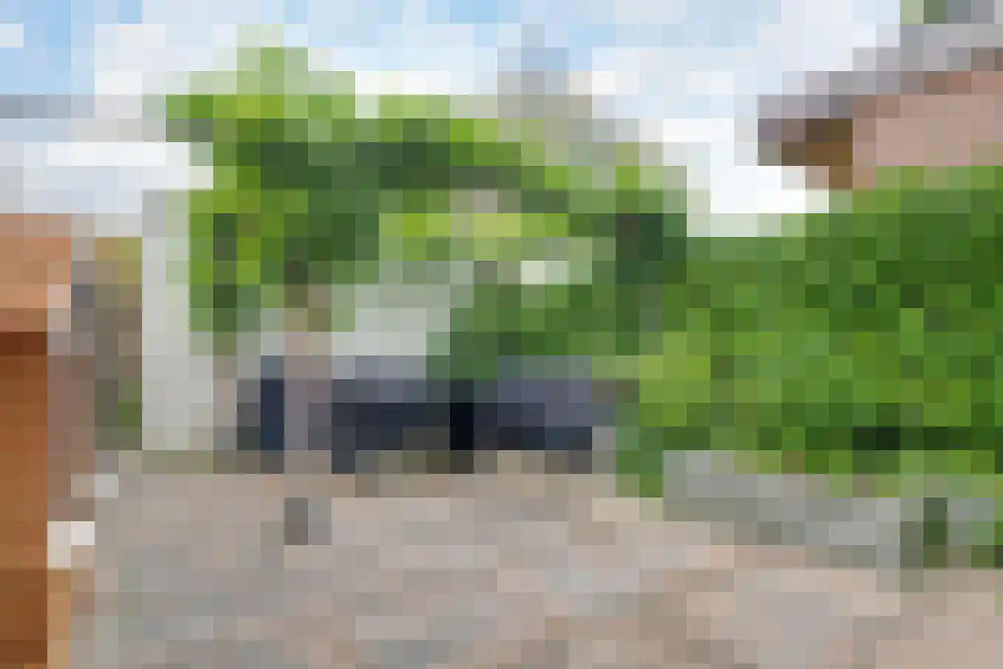Lijster 2 Hoorn thumbnail 22