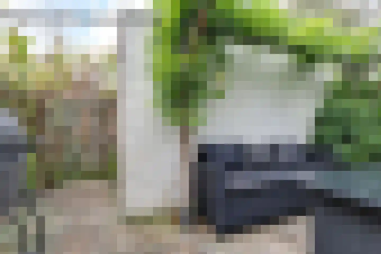 Lijster 2 Hoorn thumbnail 23