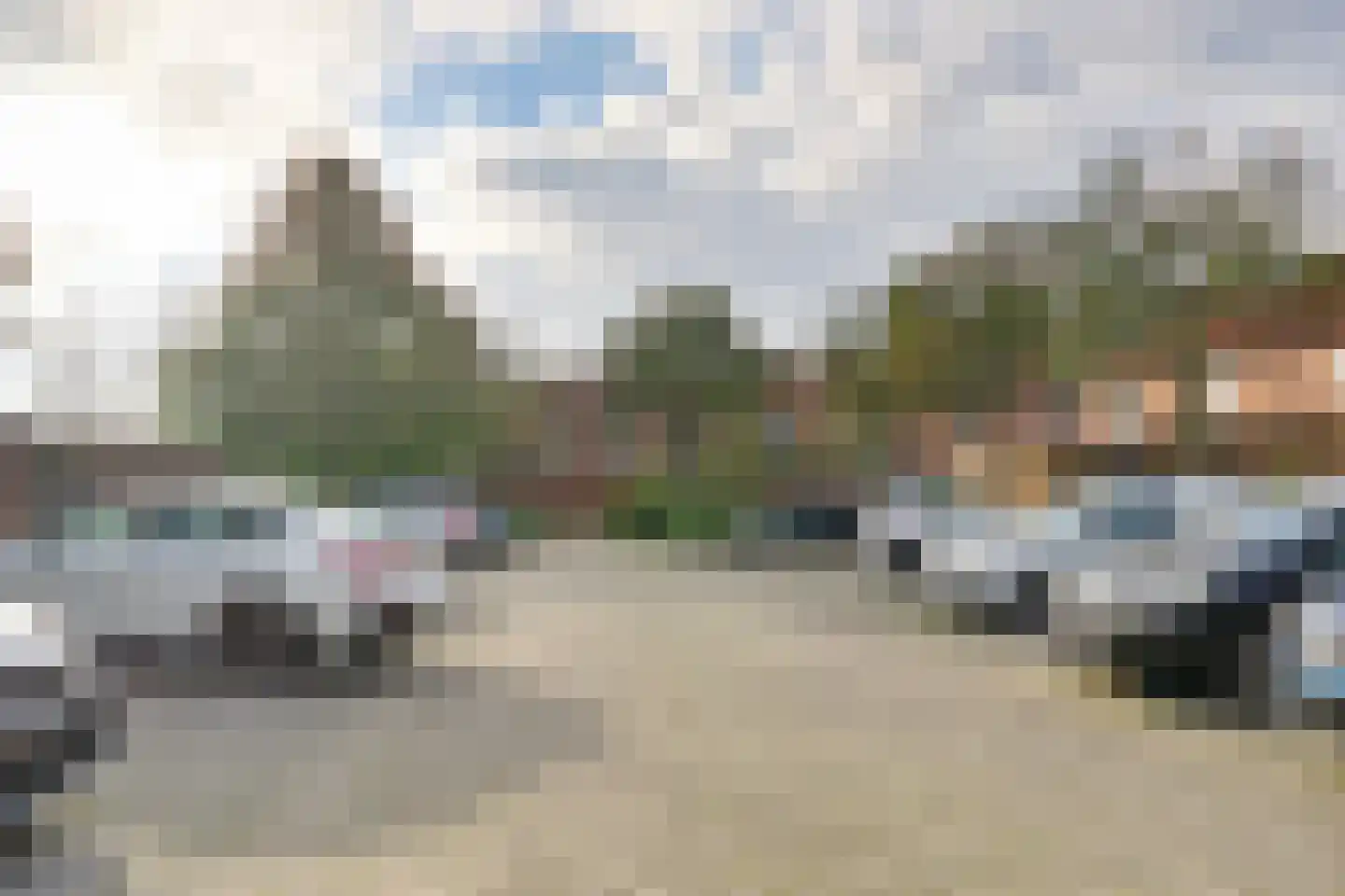 Lijster 2 Hoorn thumbnail 25