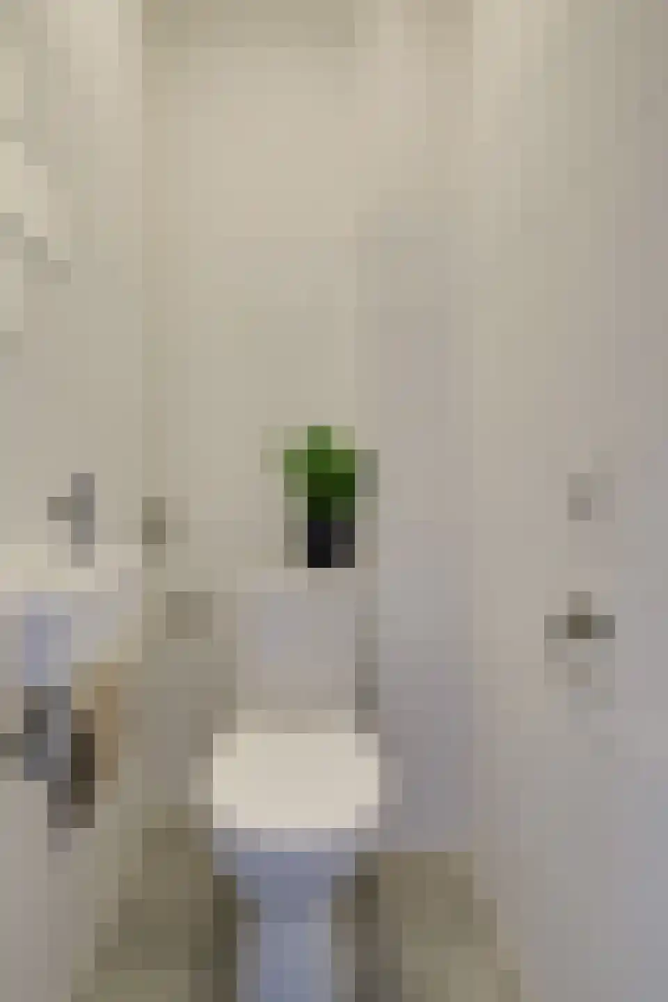Lijster 2 Hoorn thumbnail 27