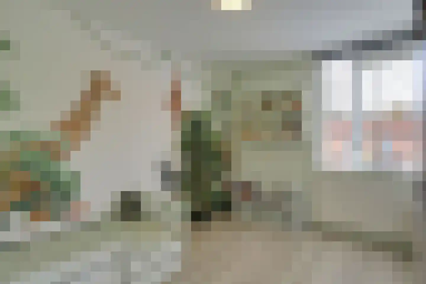 Lijster 2 Hoorn thumbnail 29