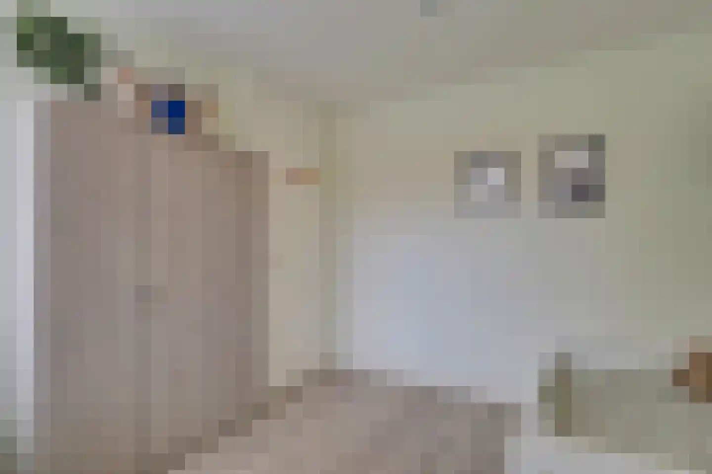 Lijster 2 Hoorn thumbnail 31