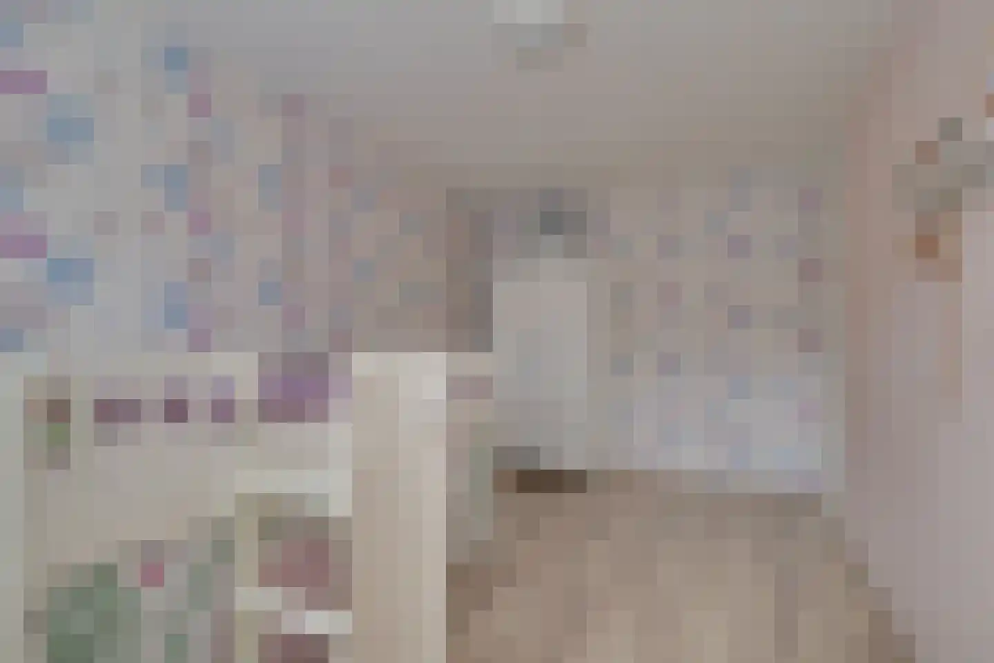 Lijster 2 Hoorn thumbnail 33