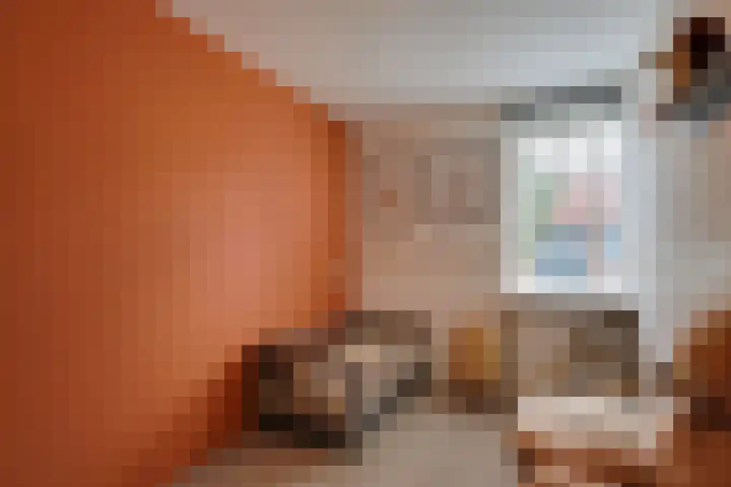 Lijster 2 Hoorn thumbnail 34