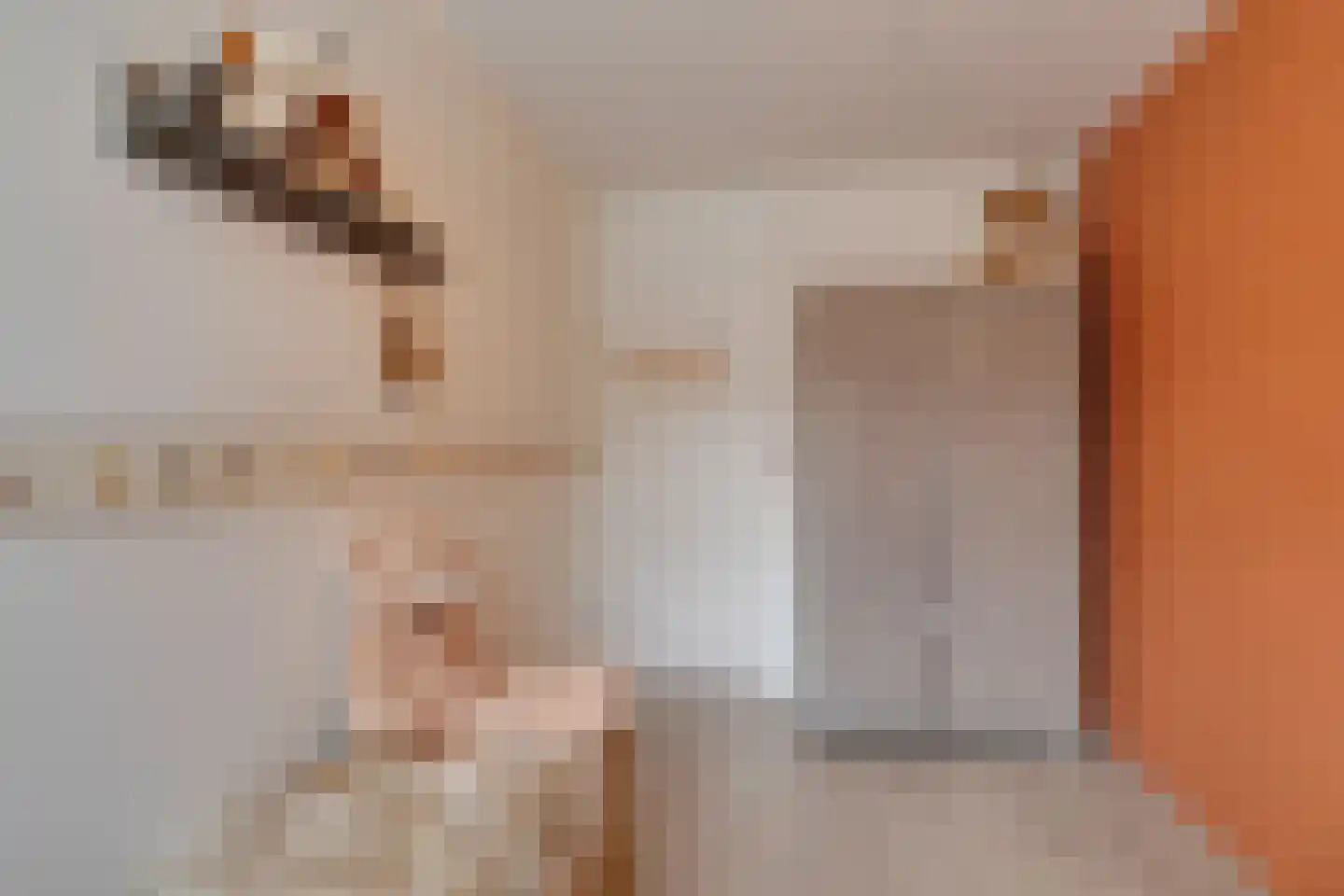 Lijster 2 Hoorn thumbnail 36