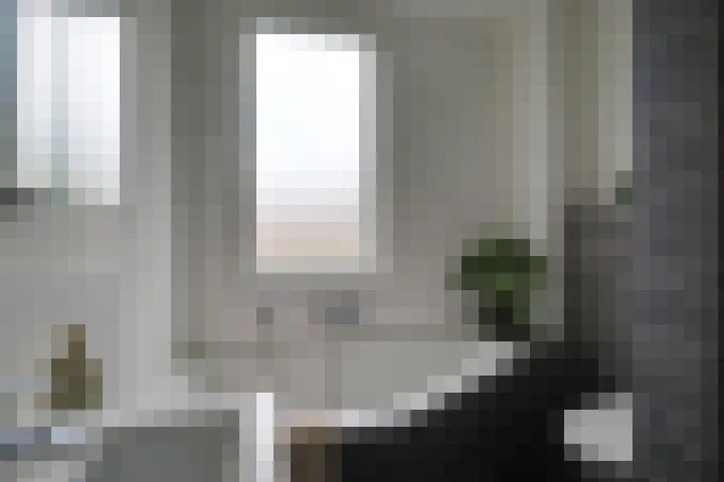 Lijster 2 Hoorn thumbnail 37