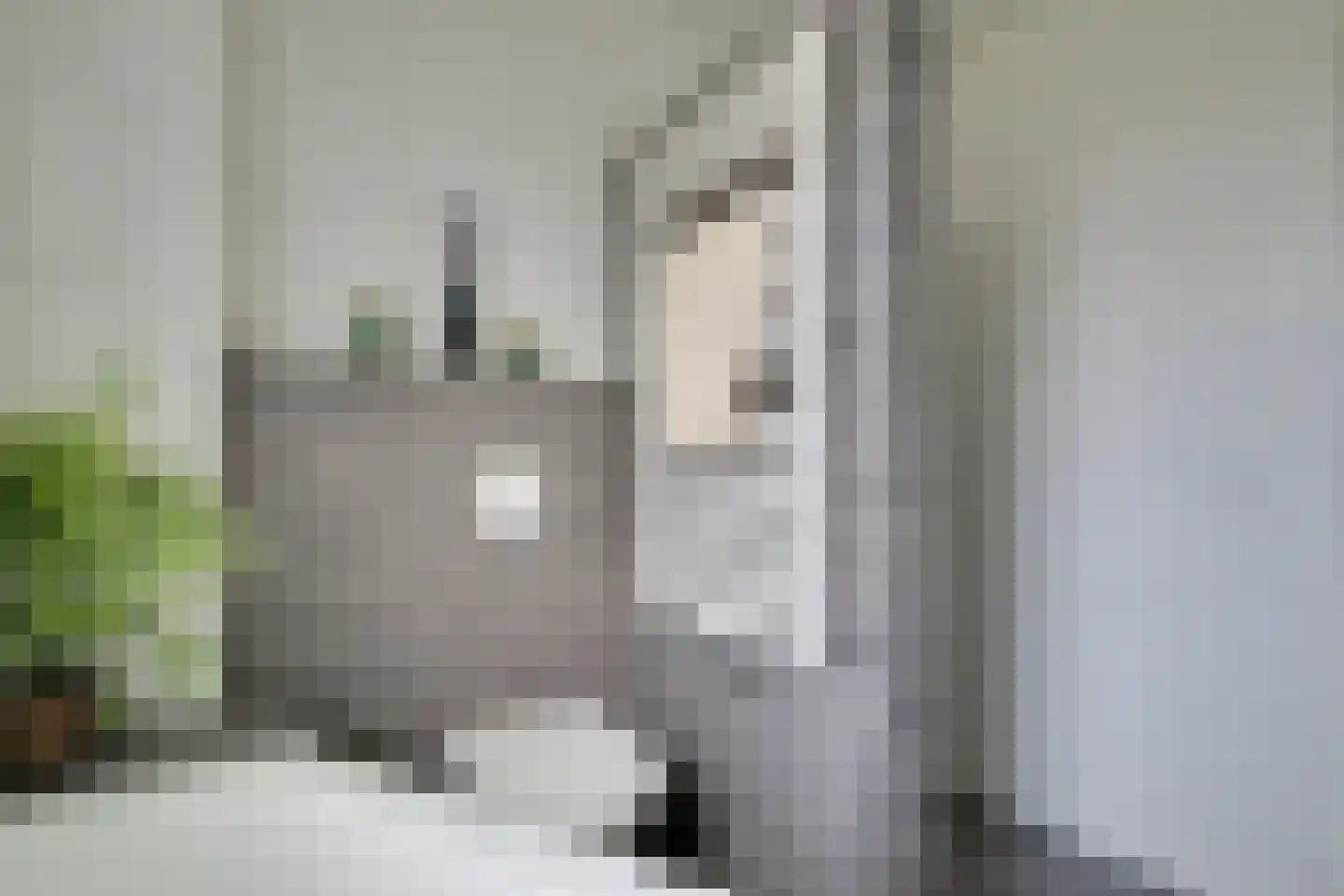 Lijster 2 Hoorn thumbnail 38