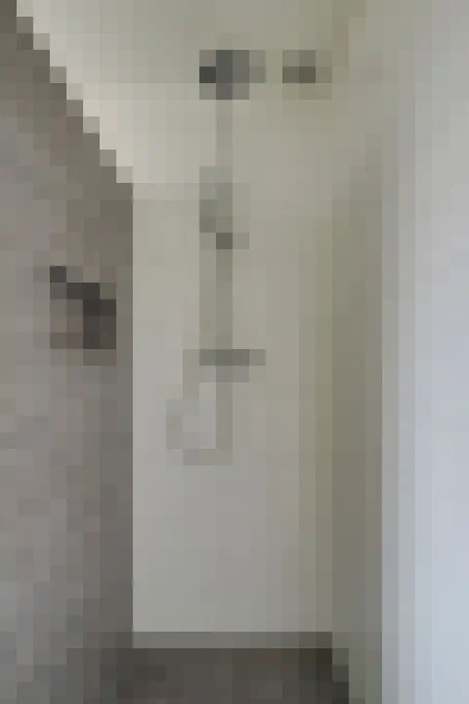 Lijster 2 Hoorn thumbnail 39
