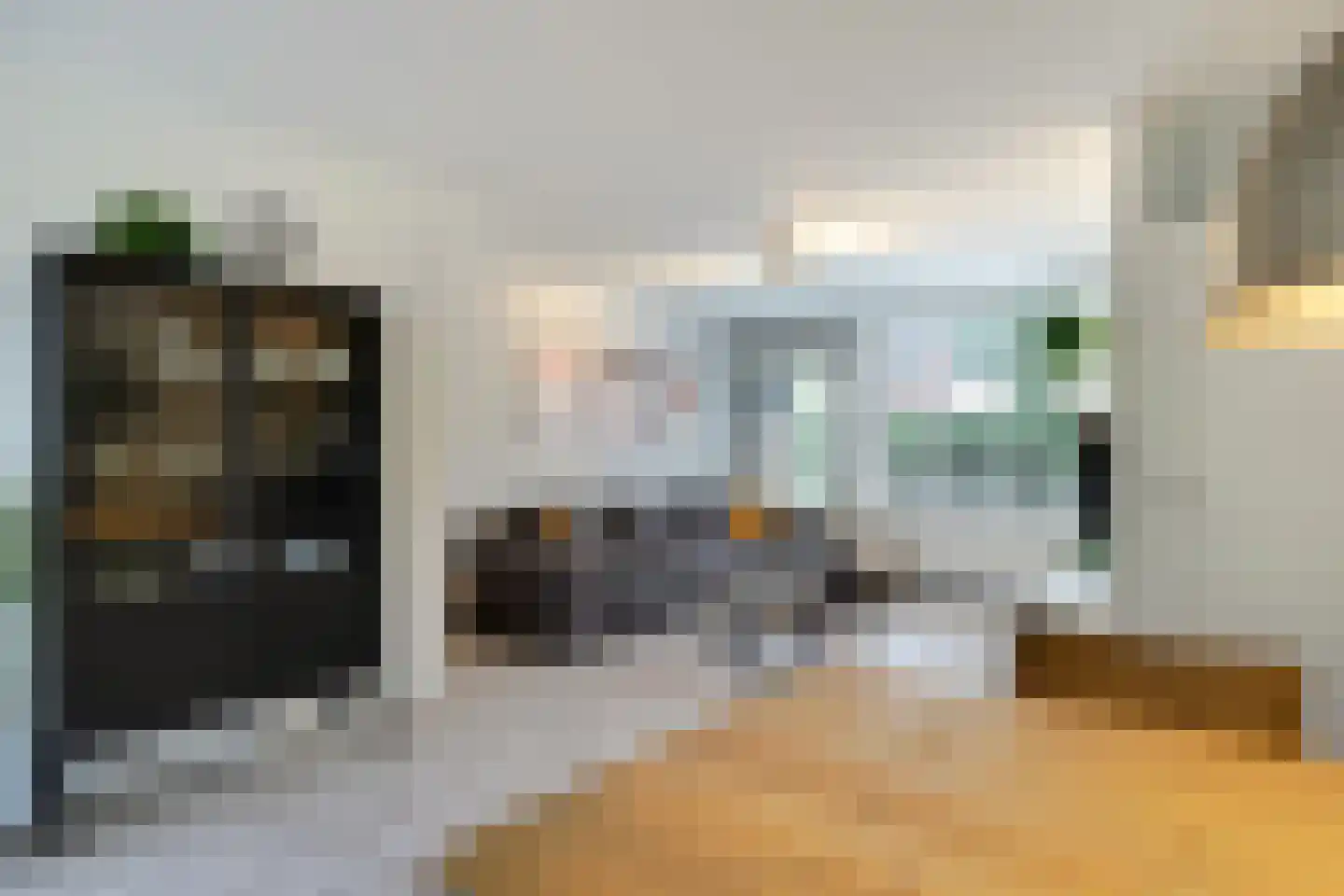 Lijster 2 Hoorn thumbnail 4
