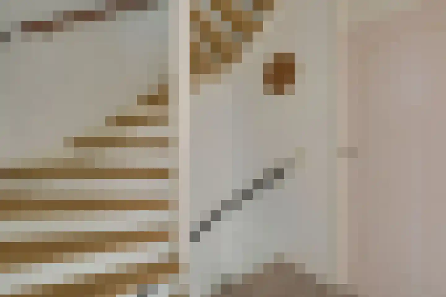 Lijster 2 Hoorn thumbnail 41