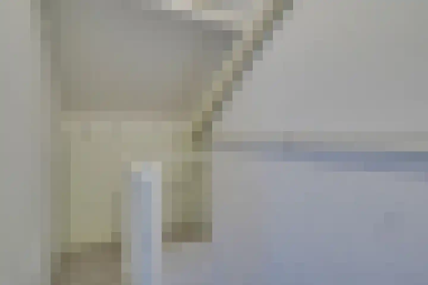 Lijster 2 Hoorn thumbnail 42